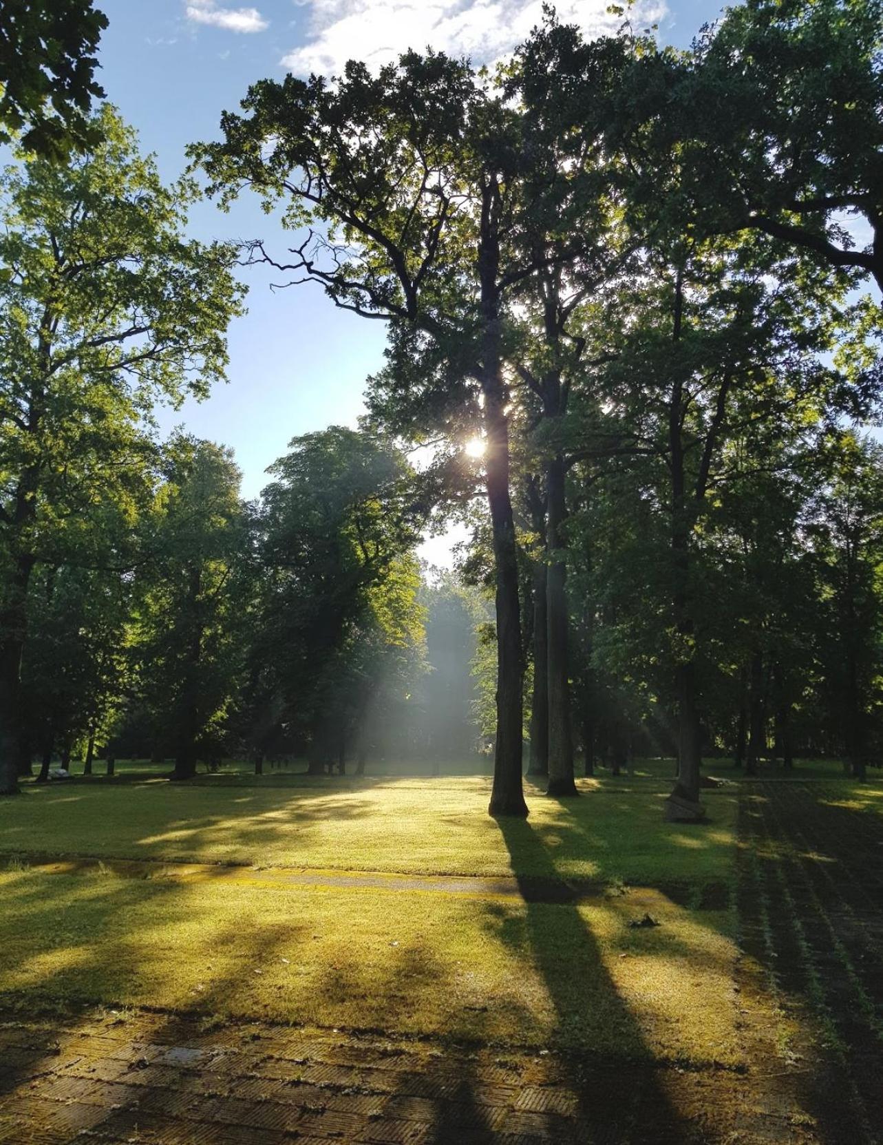 Oakwood Park Apartment Kaunas Dış mekan fotoğraf